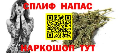 тгк Камышлов