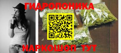 стаф Кандалакша