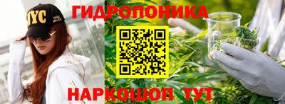 тгк Камышлов