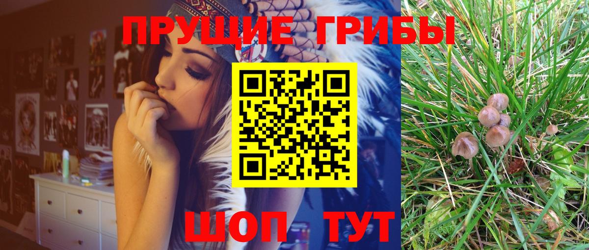 Галлюциногенные грибы MAGIC MUSHROOMS  Галлюциногенные грибы Psilocybine cubensis  Вход с VPN  Чехов 