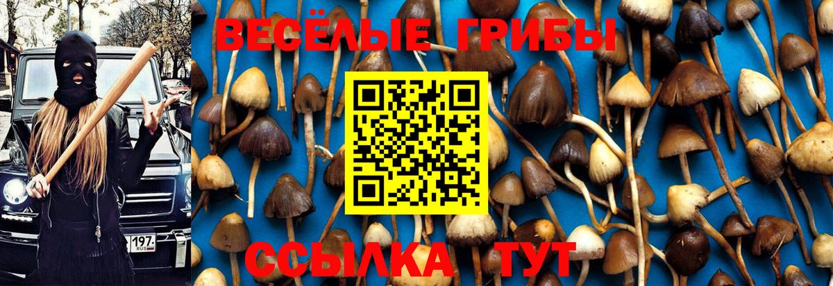 Галлюциногенные грибы Psilocybe Чехов